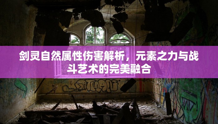 剑灵自然属性伤害解析，元素之力与战斗艺术的完美融合