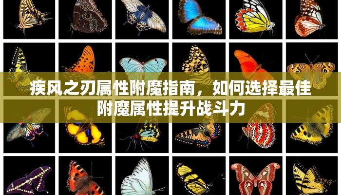 疾风之刃属性附魔指南，如何选择最佳附魔属性提升战斗力