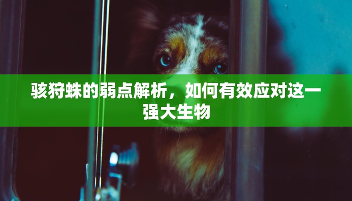 骇狩蛛的弱点解析，如何有效应对这一强大生物