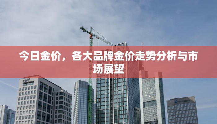 今日金价，各大品牌金价走势分析与市场展望