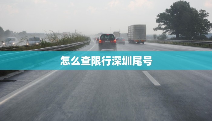 怎么查限行深圳尾号