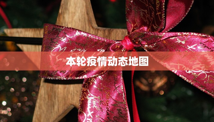 本轮疫情动态地图