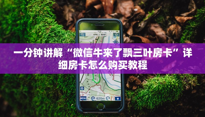一分钟讲解“微信牛来了飘三叶房卡”详细房卡怎么购买教程