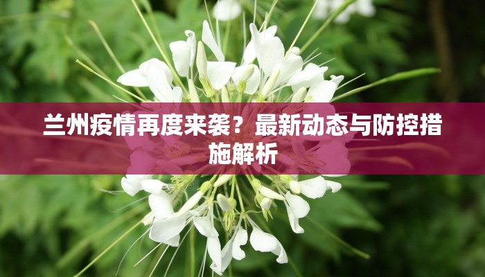 兰州疫情再度来袭？最新动态与防控措施解析
