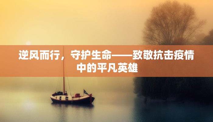 疫情下的法律挑战与应对，从公共卫生到个人权利的平衡