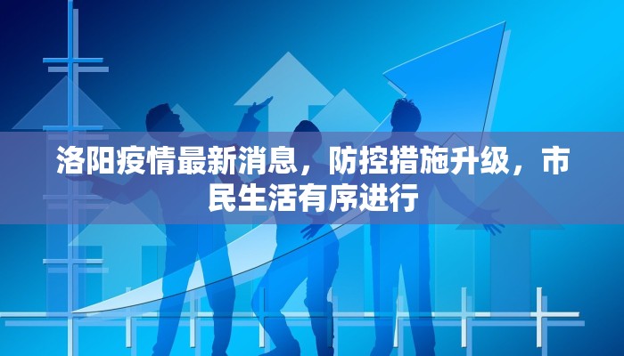 海南限行记录，政策解读、实施效果与未来展望