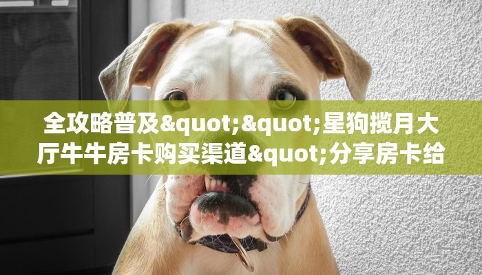 玩家必备教程""白虎大厅链接金花房卡""哪里弄房卡怎么充值才优惠？？