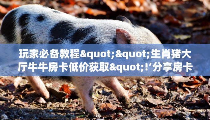 玩家必备教程""生肖猪大厅牛牛房卡低价获取"!’分享房卡给大家