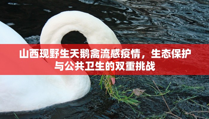 玩家必备“新明珠微信牛牛链接房卡充值""低价获取"!’分享房卡给大家
