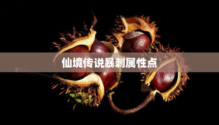 仙境传说暴刺属性点
