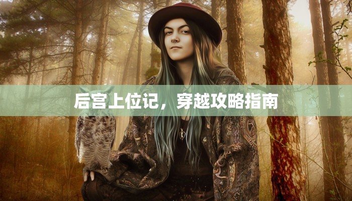 后宫上位记，穿越攻略指南