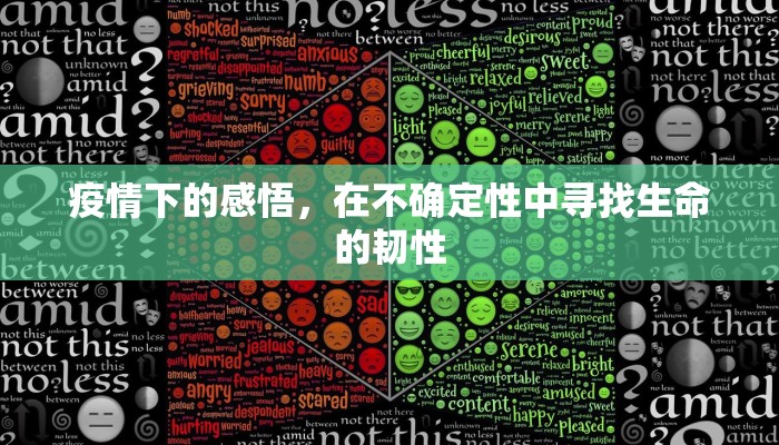 疫情下的感悟，在不确定性中寻找生命的韧性