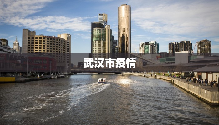 武汉市疫情