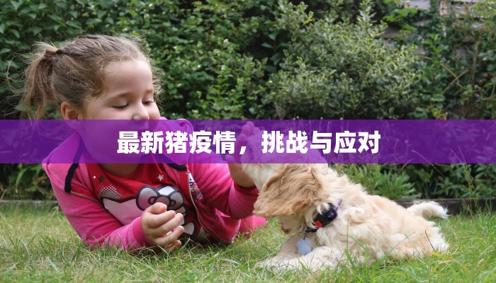 秒懂普及""乐游微信金花链接房卡充值""如何获取房卡"详细提取教程！