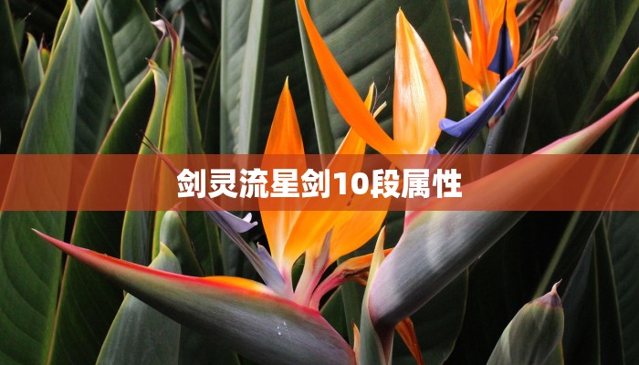 9秒了解""白虎大厅房卡/牛牛金花链接俱乐部房卡""哪里有房卡！怎么充值