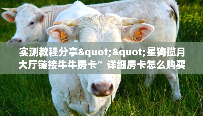 一分钟攻略""新详心金花房卡充值""哪里购买房卡，如何使用教程-知乎