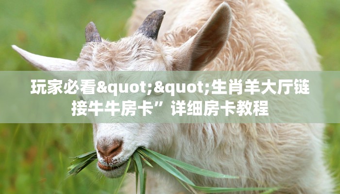 秒懂普及""微信牛牛房间生肖猪房卡充值""怎么买房卡‘房卡充值教程