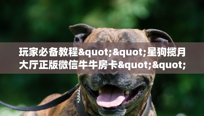玩家必备教程""星狗揽月大厅正版微信牛牛房卡""怎么购买房卡‘获取大厅链接！！