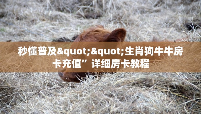 秒懂普及""生肖狗牛牛房卡充值”详细房卡教程