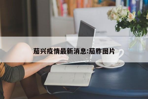 茄兴疫情最新消息:茄胙图片